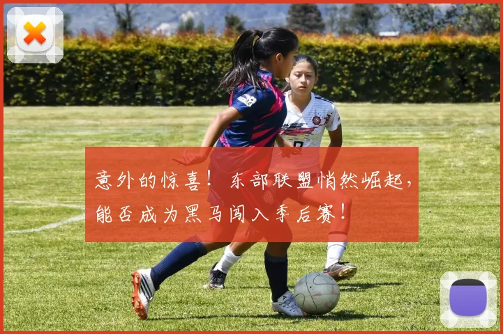 意外的惊喜！东部联盟悄然崛起，能否成为黑马闯入季后赛！